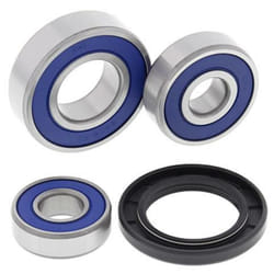 ALL BALLS Suzuki VL125/250 Kit cuscinetto ruota posteriore Intruder