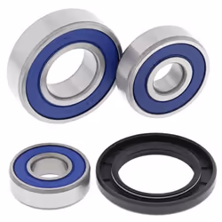 ALL BALLS Suzuki VL125/250 Kit cuscinetto ruota posteriore Intruder
