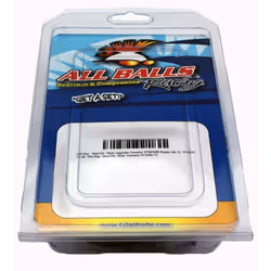 All Balls Kit di riparazione carburatore
