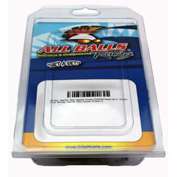 All Balls Kit di riparazione carburatore
