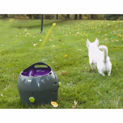 Petsafe - Lanciapalline Automatico 9 m Grigio e Viola - Vista aggiuntiva 2
