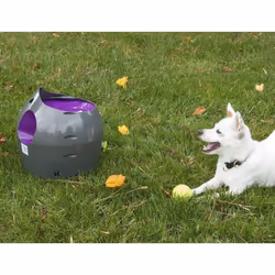 Petsafe - Lanciapalline Automatico 9 m Grigio e Viola - Vista aggiuntiva 3