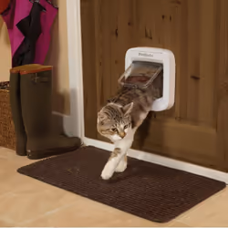 Petsafe - Porta Basculante per Gatto con Microchip Bianco PPA19-16145