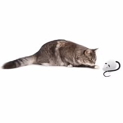 Frolicat - Gioco per Gatti Automatico RoloRat - Vista aggiuntiva 3