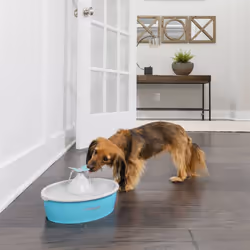 PetSafe Fontana per Animali Domestici Drinkwell con Farfalla 1,5 L - Vista aggiuntiva 3