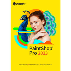 Corel PaintShop Pro 2023 Editor grafico 1 licenza/e
