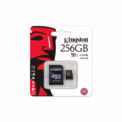 Kingston Technology SDC10G2 256 GB MicroSDXC UHS-I Classe 10