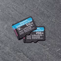 Kingston Technology Scheda microSDXC Canvas Go Plus 170R A2 U3 V30 da 512 GB + adattatore - Vista aggiuntiva 7