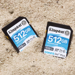 Kingston Technology Scheda SDXC Canvas Go Plus 170R C10 UHS-I U3 V30 da 512GB - Vista aggiuntiva 5