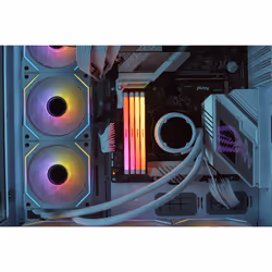 Kingston Technology FURY 32 GB 6400MT/s DDR5 CL32 DIMM (Kit da 2) Renegade RGB Bianco XMP - Vista aggiuntiva 7