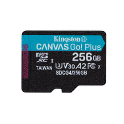 Kingston Technology 256 GB microSDXC Canvas Go Plus Gen4 200R A2 U3 Confezione singola senza ADP