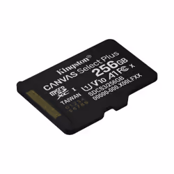 Kingston Technology 256GB micSDXC Canvas Select Plus Gen3 150R A1 (Adattatore SD non incluso)