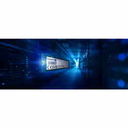 Kingston Technology 240G DC2000B PCIe 4.0 M.2 2280 Enterprise SSD (Senza dissipatore) - Vista aggiuntiva 6