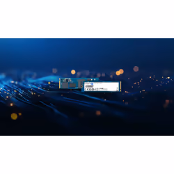 Kingston Technology 240G DC2000B PCIe 4.0 M.2 2280 Enterprise SSD (Senza dissipatore) - Vista aggiuntiva 8