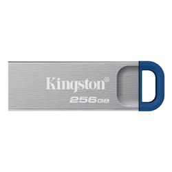Kingston Technology DataTraveler 256GB ® Kyson 220 MB/s USB 3.2 Gen 1 in metallo
