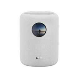 WiiM Sound 2-vie Bianco Con cavo e senza cavo 100 W