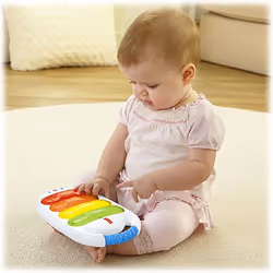 Fisher-Price Everything Baby Lo Xilofono