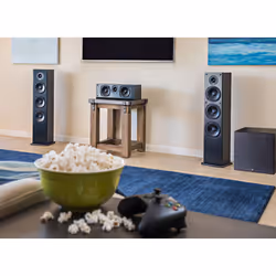 Polk Audio T50 altoparlante 2-vie Nero Cablato 150 W - Vista aggiuntiva 5