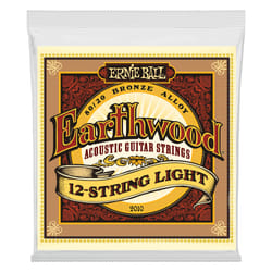 Ernie Ball P02010 Acustico 12 pz Acciaio bronzato Chitarra