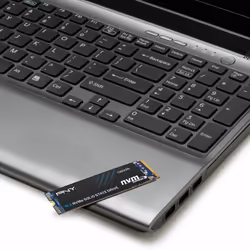 PNY CS2230 500 GB M.2 PCI Express 3.0 NVMe 3D NAND - Vista aggiuntiva 6