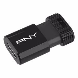 PNY Elite-X unità flash USB 256 GB USB tipo-C 3.2 Gen 1 (3.1 Gen 1) Nero - Vista aggiuntiva 2