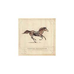 Alive AG A Long Way From Your Heart CD Americana Turnpike Troubadours