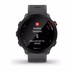 Garmin Forerunner 55 MIP 42 mm Digitale 208 x 208 Pixel Touch screen Grigio GPS (satellitare) - Vista aggiuntiva 7