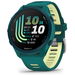 Garmin Forerunner 170 Music 3,05 cm (1.2") AMOLED 42 mm Digitale 390 x 390 Pixel Touch screen Verde GPS (satellitare)