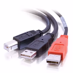 C2G USB B/USB A Y-Cable, 2 m, USB B, 2 x USB A, Maschio/Maschio, Nero