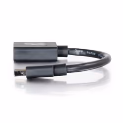 C2G 0.15m Mini DP M / DP F 0,15 m Nero