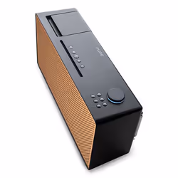 Pure 108WI radio Portatile Nero, Legno