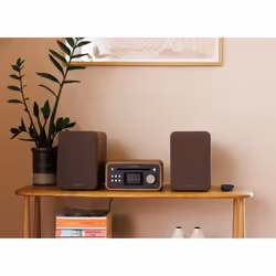Pure Classic Stereo Mini Microsistema audio per la casa 40 W Marrone, Noce - Vista aggiuntiva 7