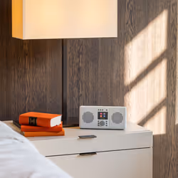 Pure Elan Connect+ Portatile Digitale Grigio - Vista aggiuntiva 5