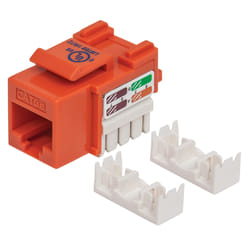 Intellinet 210577 modulo Keystone