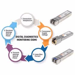 Intellinet 508759 modulo del ricetrasmettitore di rete Fibra ottica 10000 Mbit/s SFP+ 1310 nm - Vista aggiuntiva 5