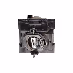 Viewsonic RLC-108 lampada per proiettore