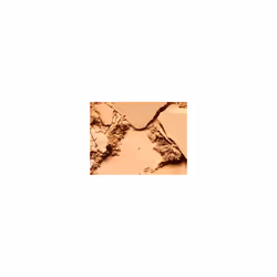 MAC Studio Fix Powder Plus Foundation 15 g Custodia compatta Polvere C5