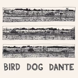 ImportCDs Bird Dog Dante, Pop rock, Vinile, Supporto fisico, Adulto, 1 dischi, 15/06/2018