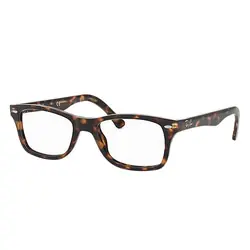 RAYBAN_RX5228-O-2012