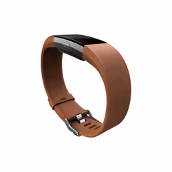 Fitbit FB-160LBPKS accessorio indossabile intelligente Band Rosa Pelle