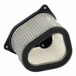 Hiflofiltro Filtro dell'aria - HFA3906