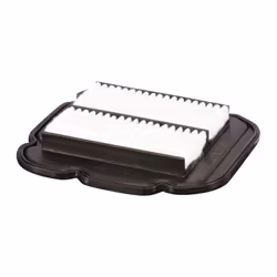 Hiflofiltro Filtro aria - HFA3611