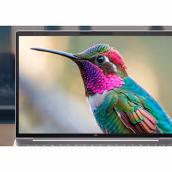 HP DQ6N4AT non classificato - Vista aggiuntiva 7