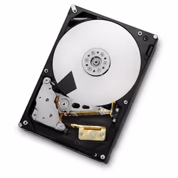 Western Digital Ultrastar 7K4000 3TB 20PK, 3,07 TB, 7200 Giri/min, 64 MB, 3.5", SATA,Serial ATA