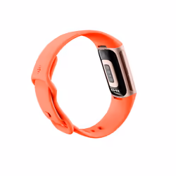 Fitbit Charge 6 AMOLED Braccialetto per rilevamento di attività Corallo, Oro - Vista aggiuntiva 5