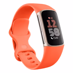 Fitbit Charge 6, Braccialetto per rilevamento di attività, AMOLED, GPS (satellitare), Near Field Communication (NFC), Resiste ...