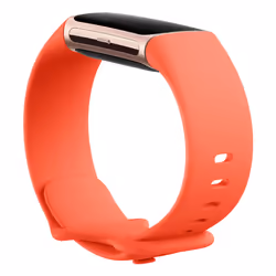 Fitbit Charge 6 AMOLED Braccialetto per rilevamento di attività Champagne, Oro