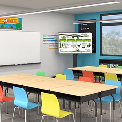 Chief LPE1U-EU Supporto per display espositivi Nero - Vista aggiuntiva 6