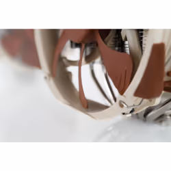 Noctua NH-D15 sistema di raffreddamento per computer Processore Refrigeratore 14 cm Beige, Marrone, Acciaio - Vista aggiuntiva 6