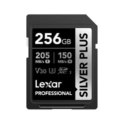 Lexar Professional SILVER PLUS 256GB SDXC UHS-I Classe 3